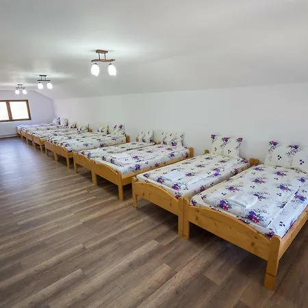 Guest house Merisor