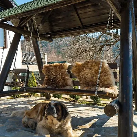 Πανσιόν Merisor